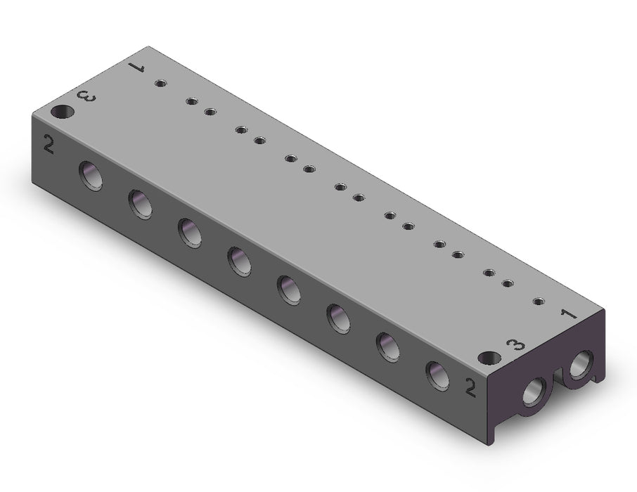 10-VV100-S41-08-M5 MANIFOLD, CLEAN ROOM