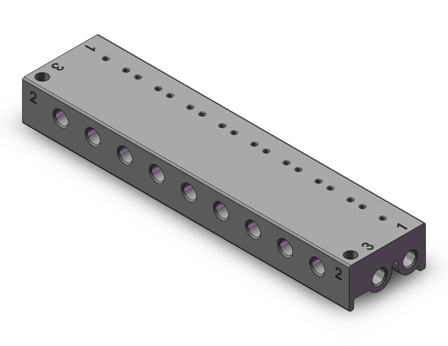 10-VV100-S41-09-M5 MANIFOLD, CLEAN ROOM