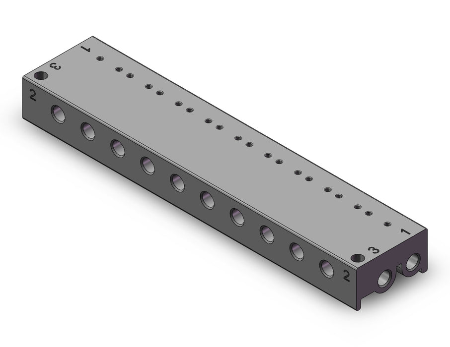 10-VV100-S41-10-M5 MANIFOLD, CLEAN ROOM