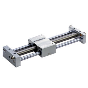 REAL20TN-600-F79WMAPC REA, Sine Rodless Cylinder