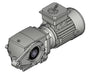 Nord 3017-19SS 1 HP, 13.18:1 ratio, 1.25" bore Helical-Worm Gearmotor Washdown - Power Motion