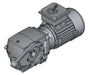 Nord 3017-39 3/4 HP, 50.63:1 ratio, 1.25" bore Helical-Worm Gearmotor - Power Motion