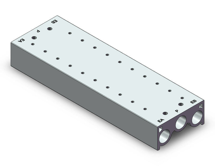 53-SS5Y5-20-10-00N MANIFOLD, BODY PT