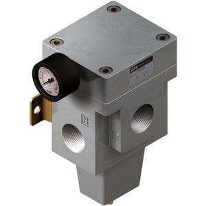 VEX5900-14T Economy Valve