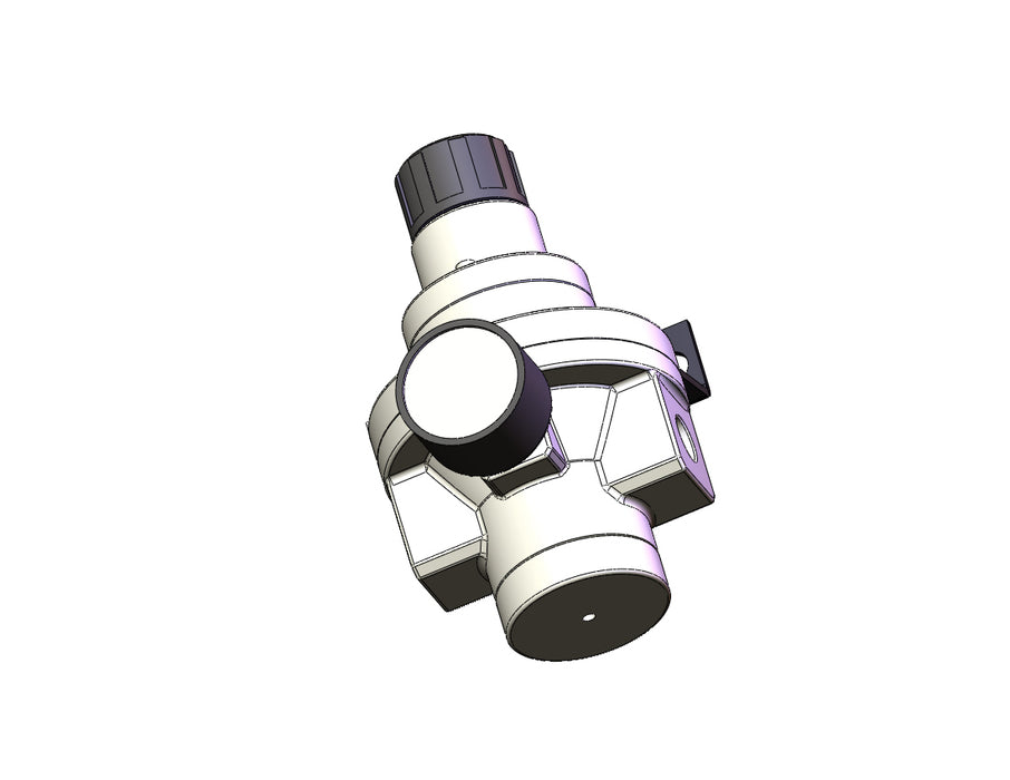 AR425-N02BG Pilot Operated Regulator