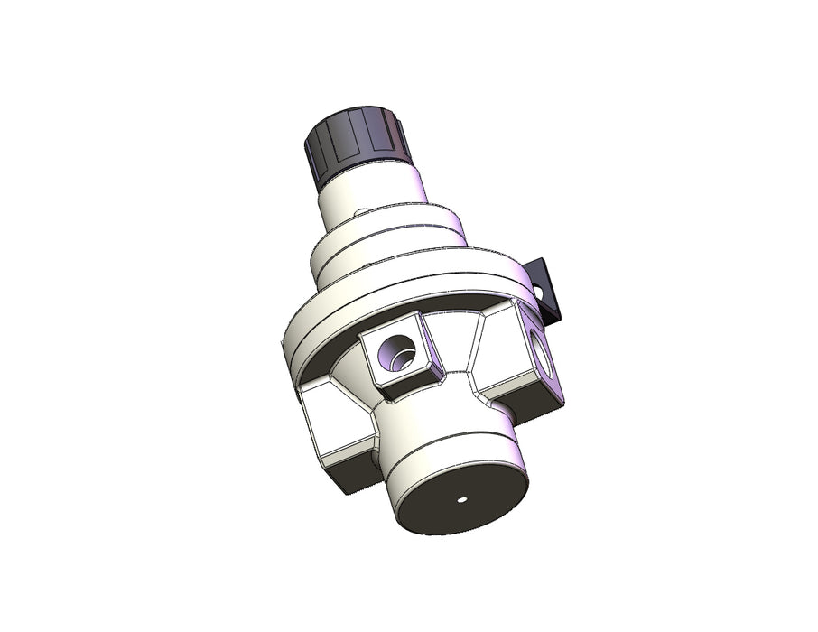 AR425-N03B Pilot Operated Regulator