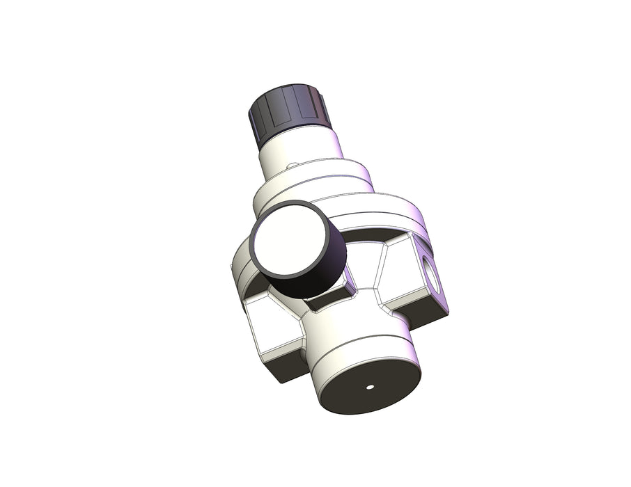AR425-N03G Pilot Operated Regulator