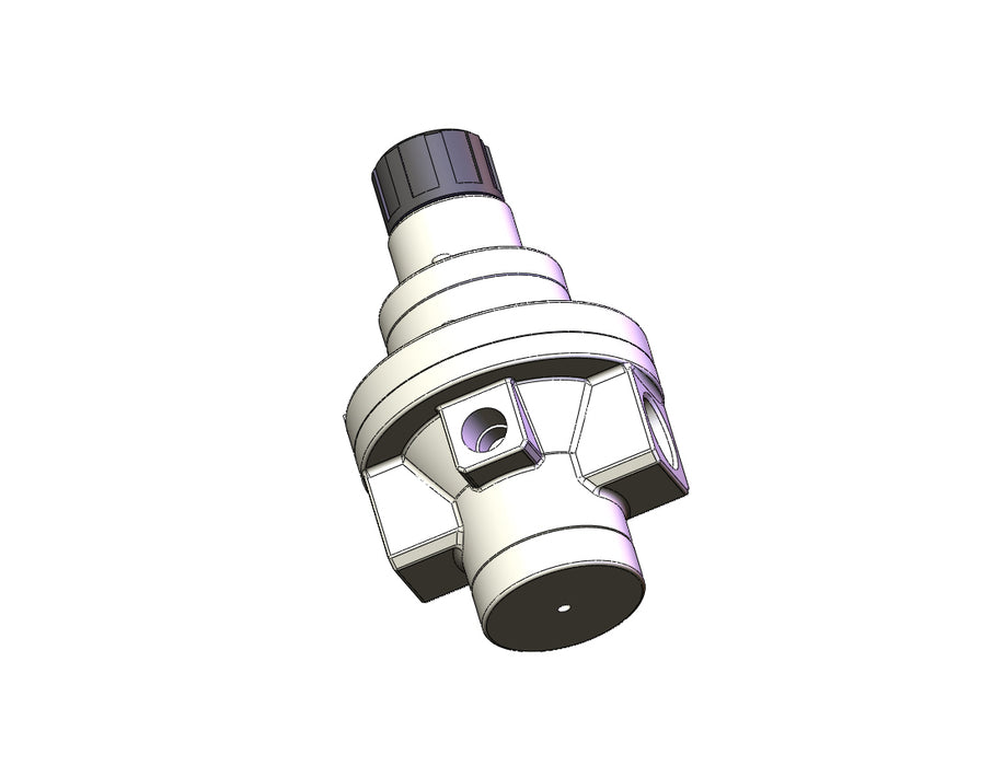 AR425-N04-R Pilot Operated Regulator
