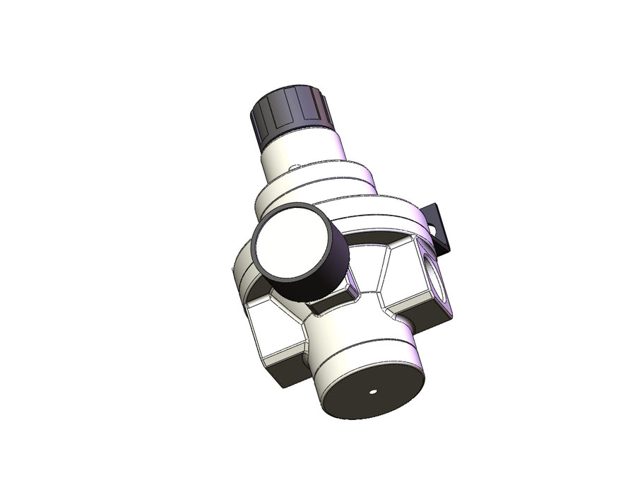 AR425-N04BG Pilot Operated Regulator