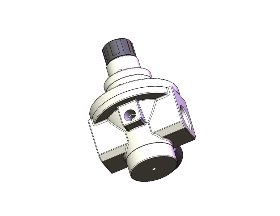 AR625-N06G-R PILOT OPERATED REGULATOR