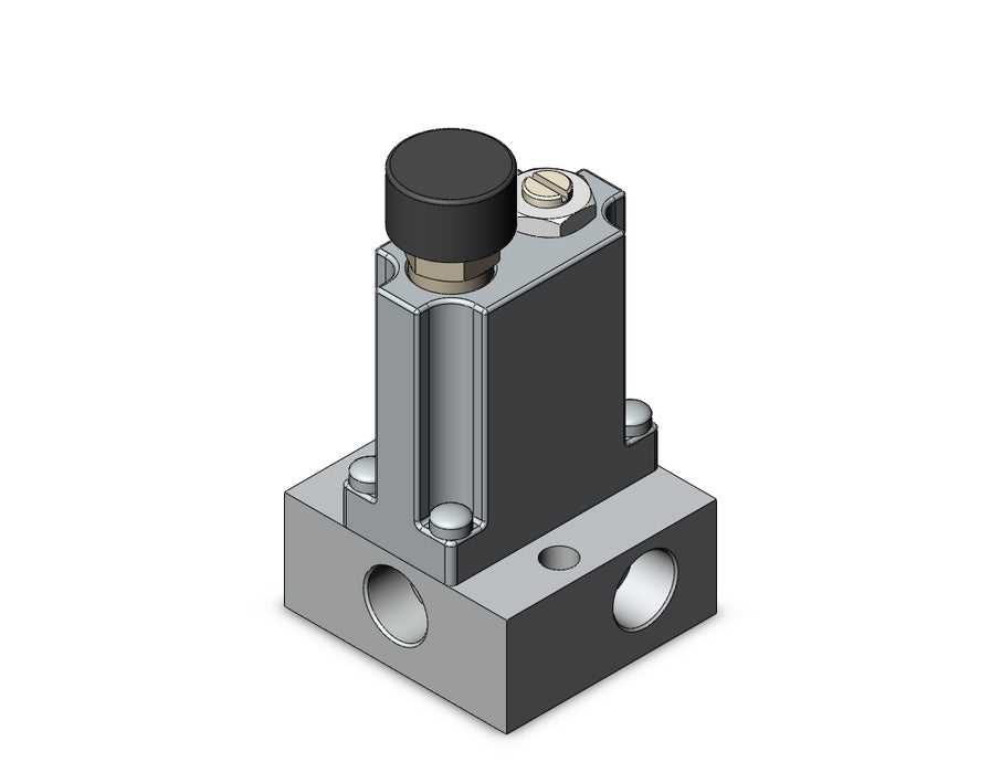 ARM1000-1B1-01G MANIFOLD REGULATOR
