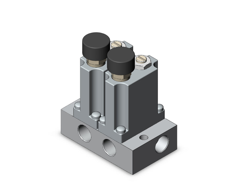 ARM1000-2A1-01G MANIFOLD REGULATOR