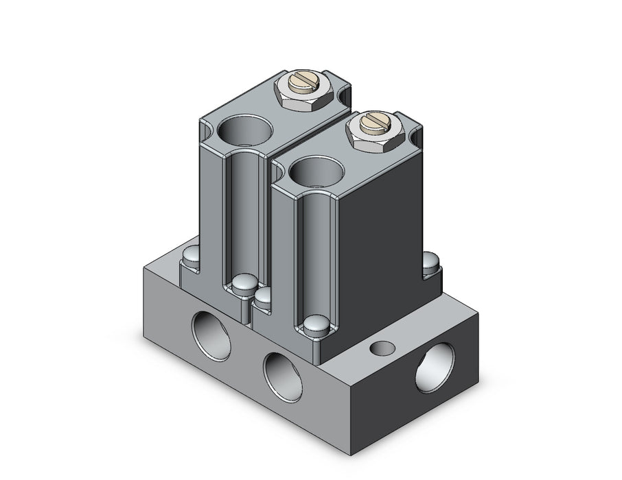 ARM1000-2A1-N01 MANIFOLD REGULATOR