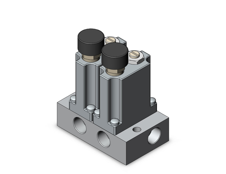 ARM1000-2B1-01G MANIFOLD REGULATOR