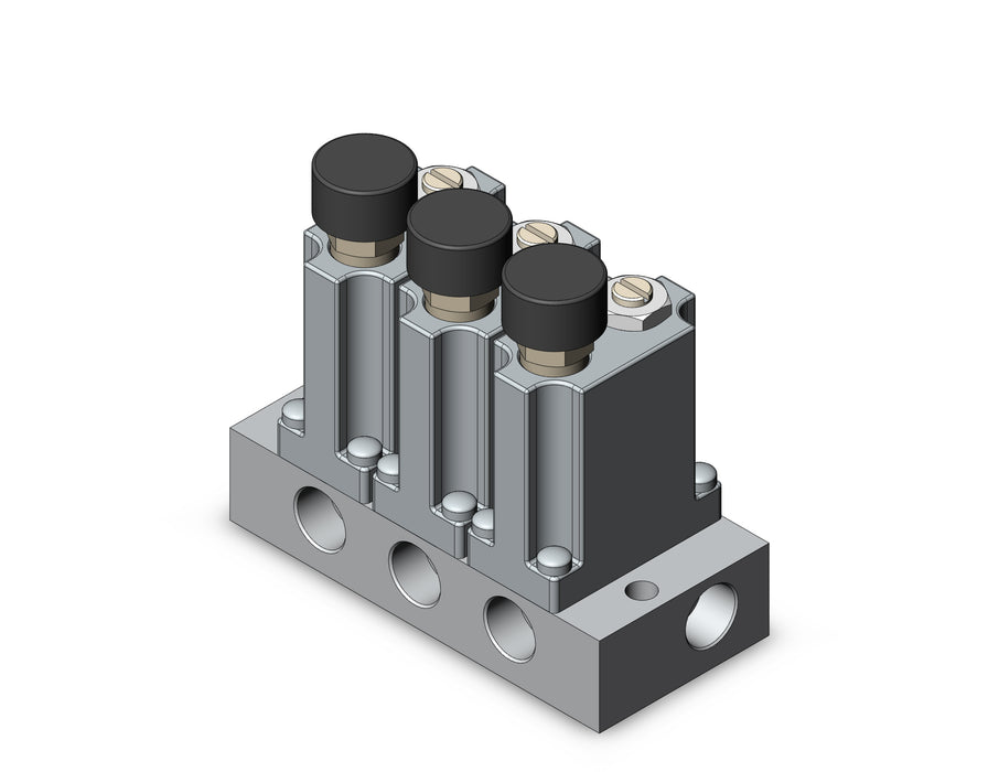 ARM1000-3A1-01G-1 MANIFOLD REGULATOR