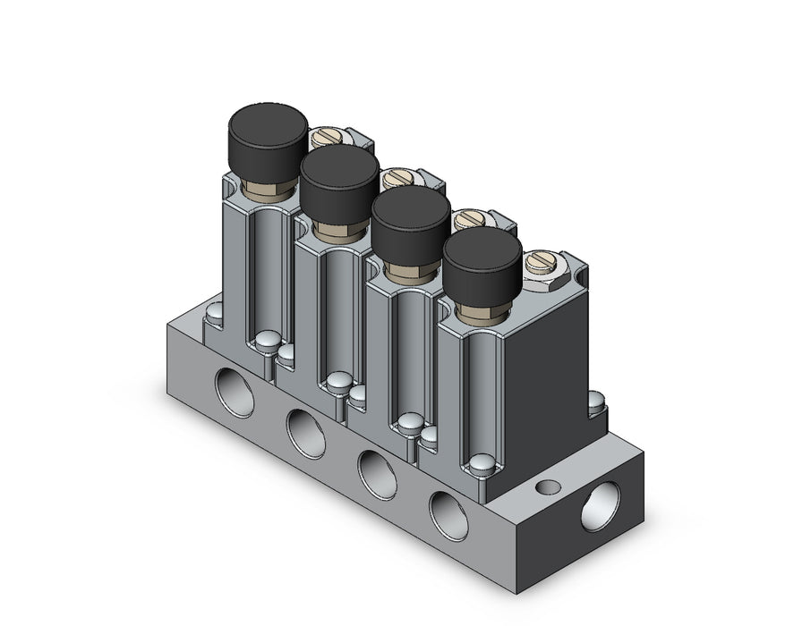 ARM1000-4B1-01G MANIFOLD REGULATOR