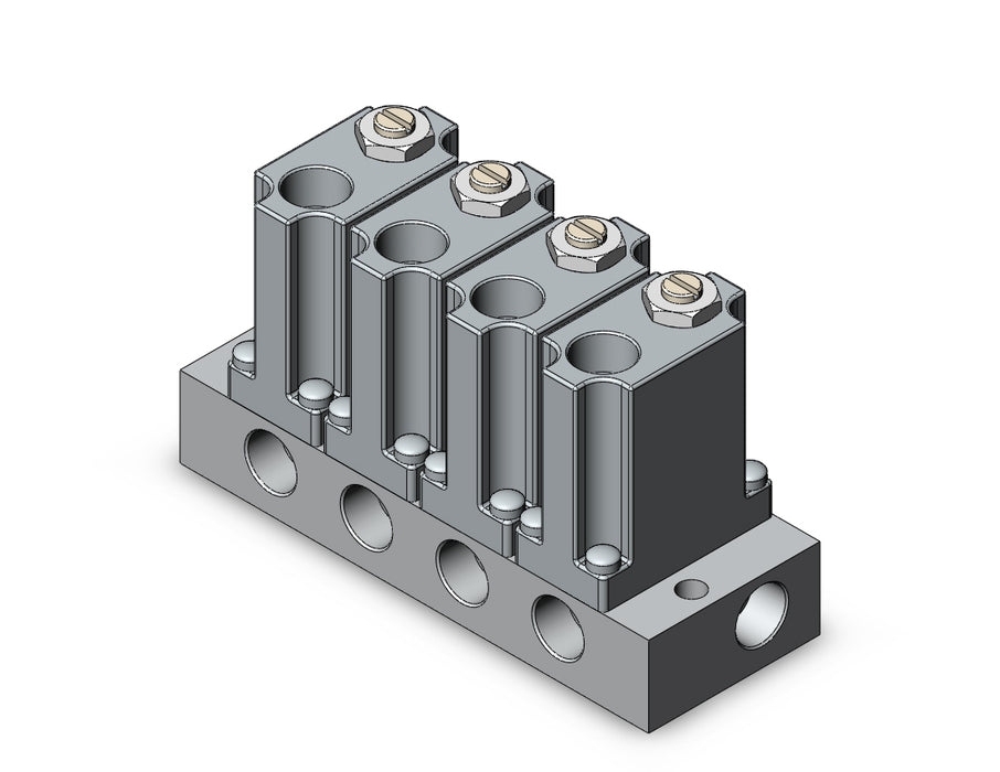 ARM1000-4B1-01 MANIFOLD REGULATOR