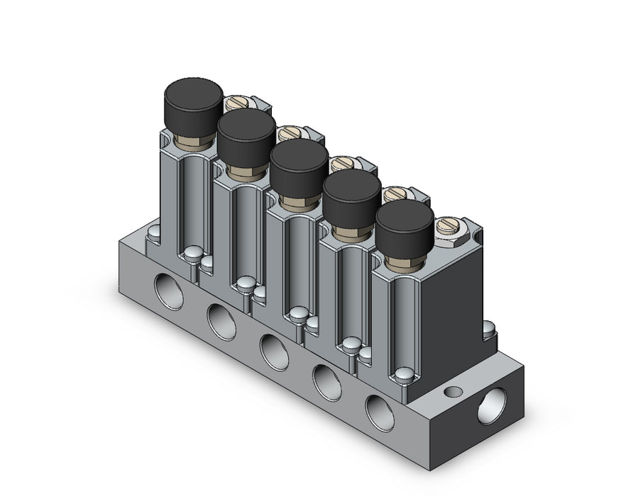 ARM1000-5B1-N01G MANIFOLD REGULATOR