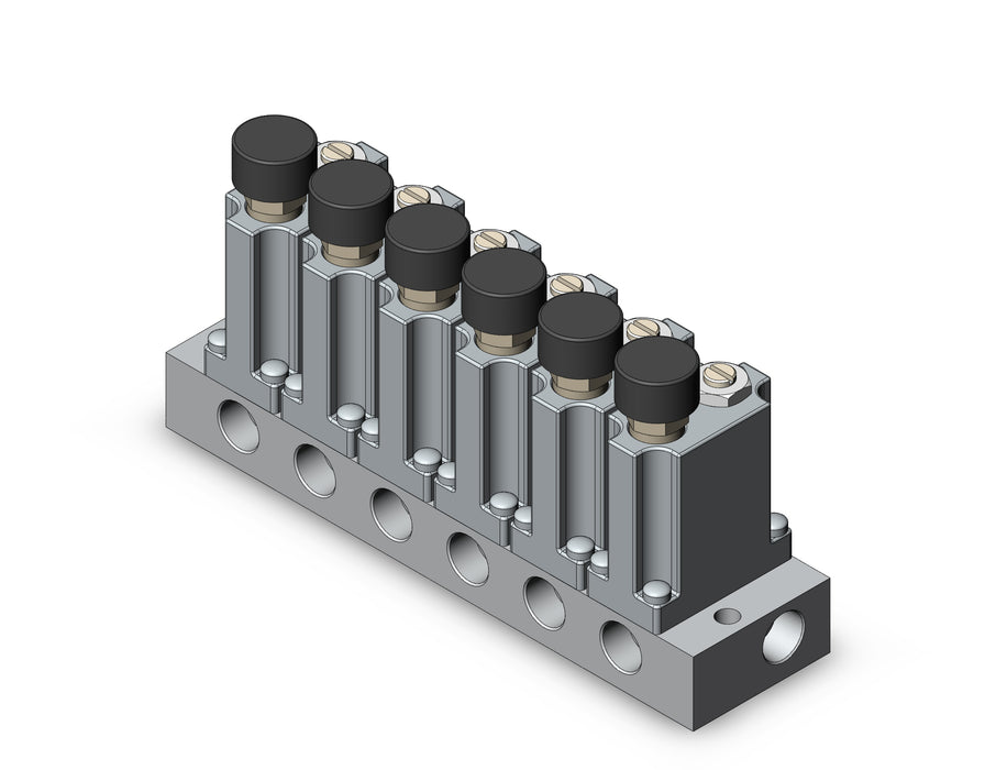 ARM1000-6A1-01G MANIFOLD REGULATOR