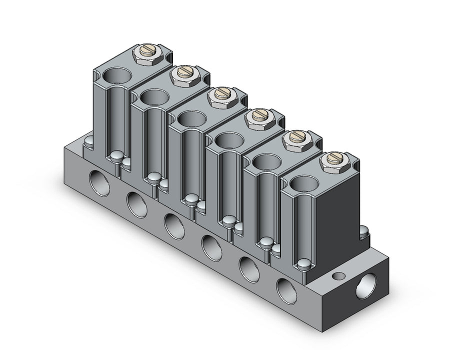 ARM1000-6A1-N01 MANIFOLD REGULATOR