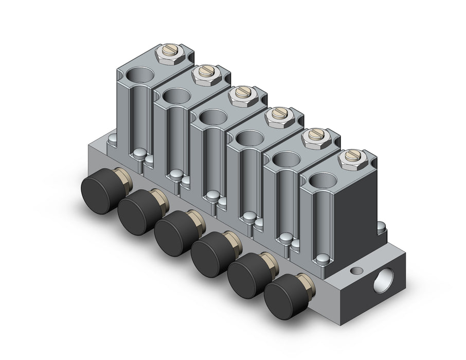 ARM1000-6A2-N01G-1 MANIFOLD REGULATOR