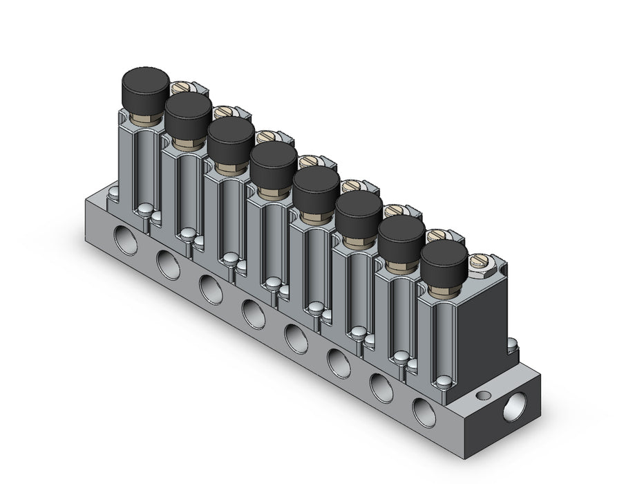 ARM1000-8A1-01G MANIFOLD REGULATOR