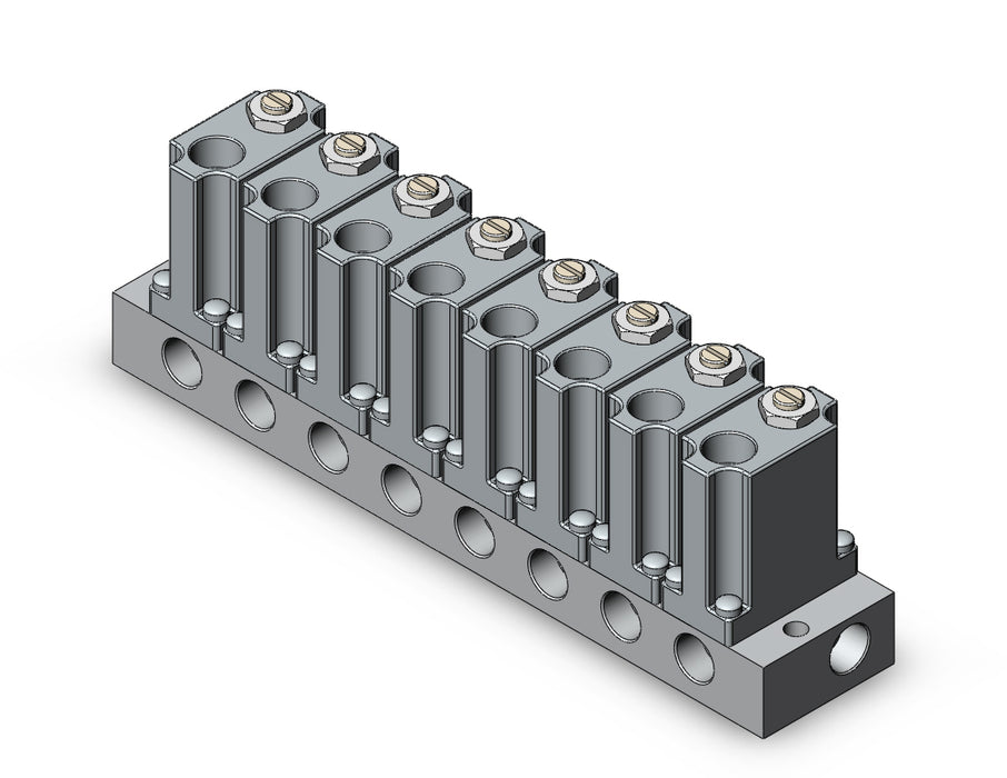 ARM1000-8A1-N01 MANIFOLD REGULATOR