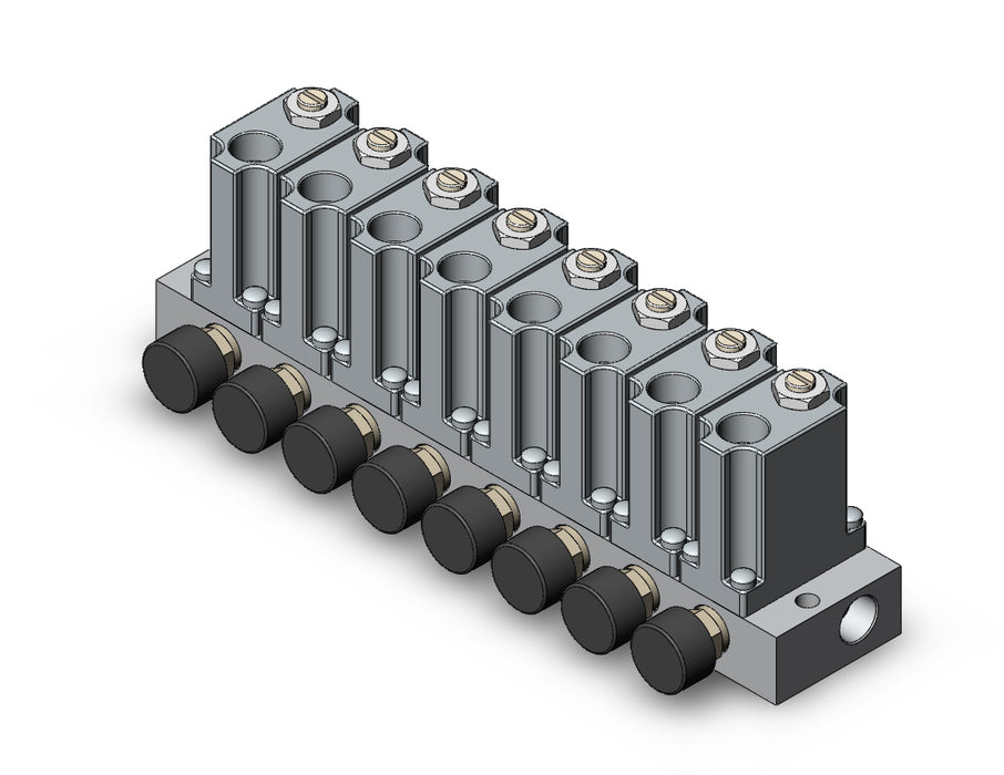 ARM1000-8A2-N01G MANIFOLD REGULATOR