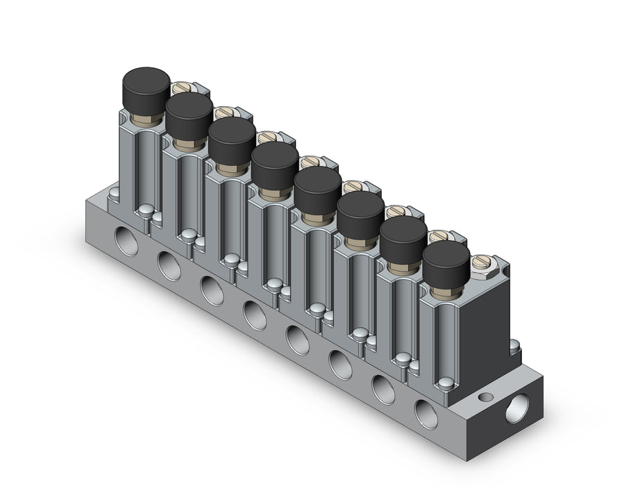 ARM1000-8B1-N01G MANIFOLD REGULATOR