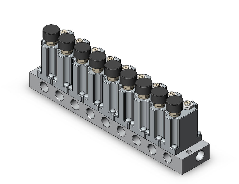 ARM1000-9A1-N01G MANIFOLD REGULATOR