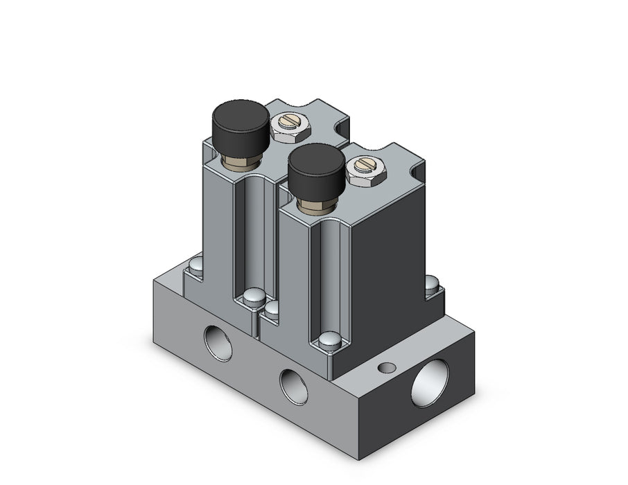 ARM2000-2A1-01G MANIFOLD REGULATOR