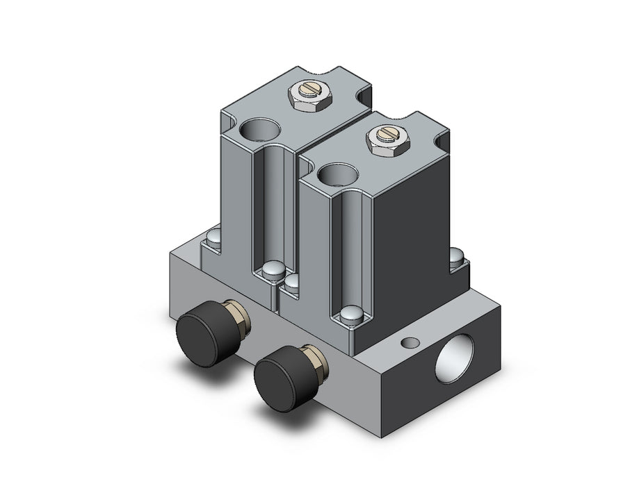 ARM2000-2A2-N01G-1 MANIFOLD REGULATOR