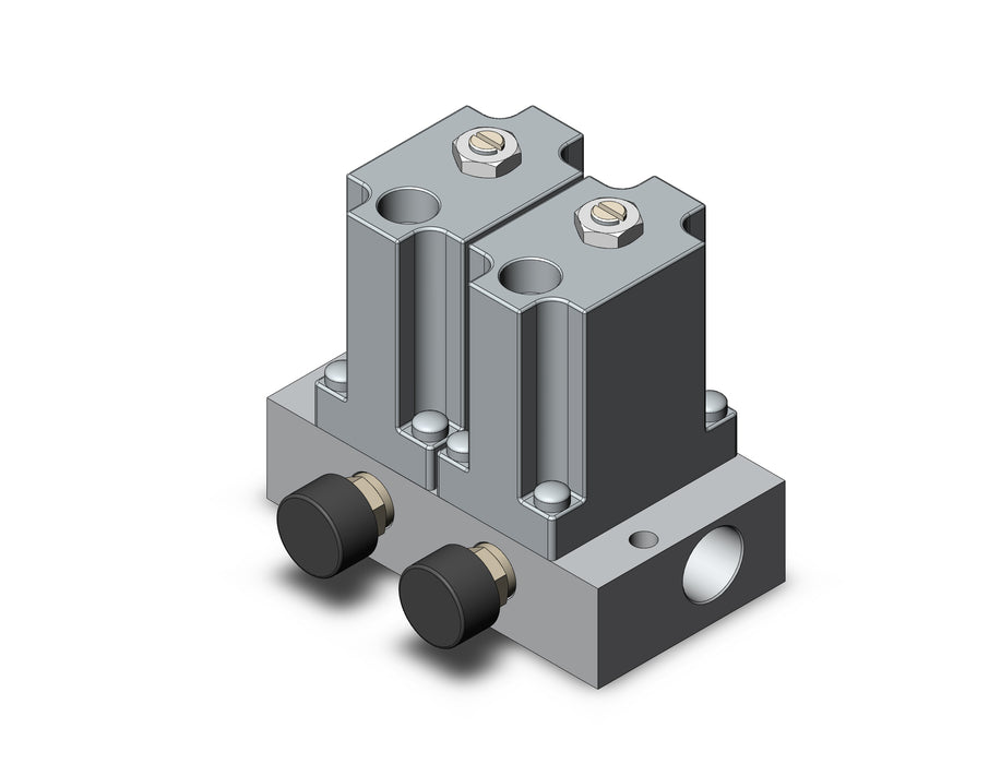 ARM2000-2A2-N01G MANIFOLD REGULATOR