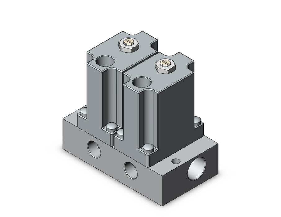 ARM2000-2B1-N01 MANIFOLD REGULATOR