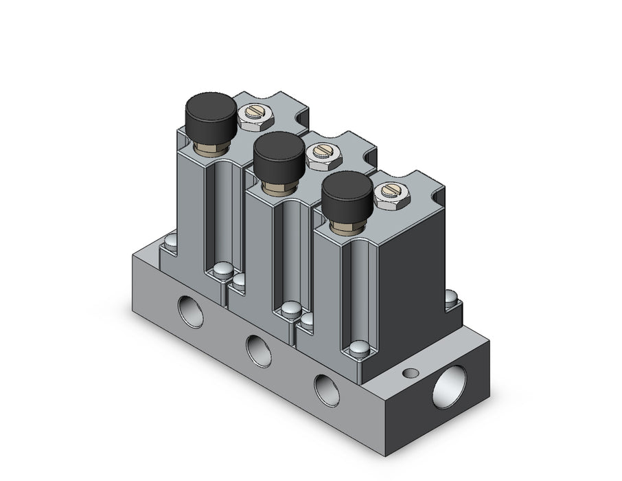 ARM2000-3B1-01G MANIFOLD REGULATOR