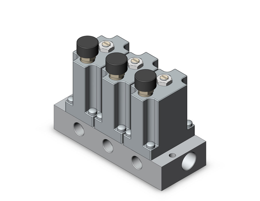 ARM2000-3B1-N01G MANIFOLD REGULATOR