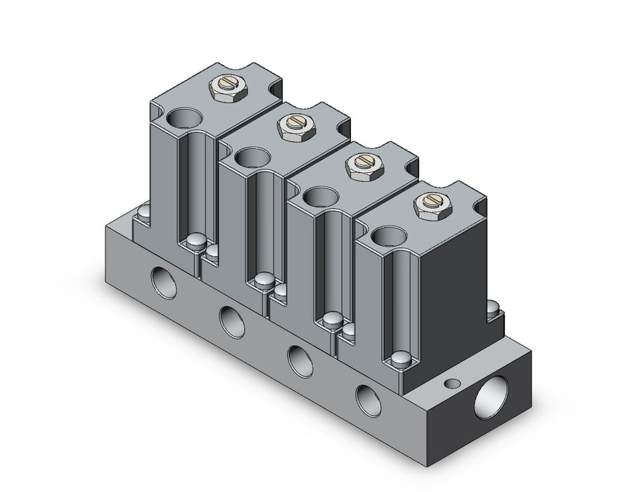 ARM2000-4A1-01-1 MANIFOLD REGULATOR