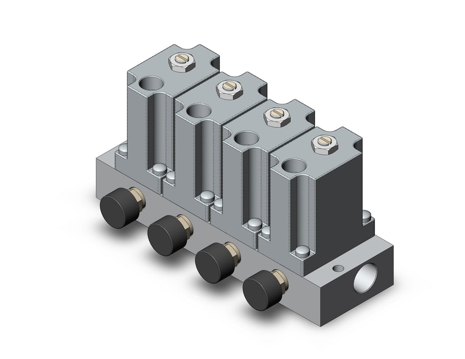 ARM2000-4B2-01G MANIFOLD REGULATOR