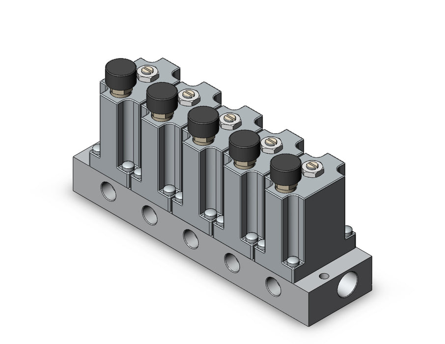 ARM2000-5A1-N01G MANIFOLD REGULATOR