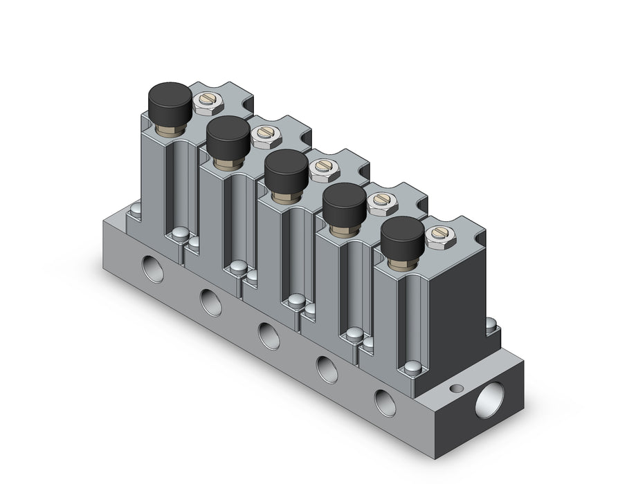 ARM2000-5B1-N01G MANIFOLD REGULATOR
