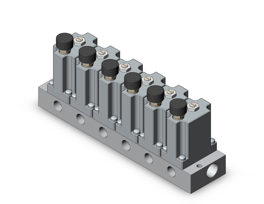 ARM2000-6A1-01G MANIFOLD REGULATOR
