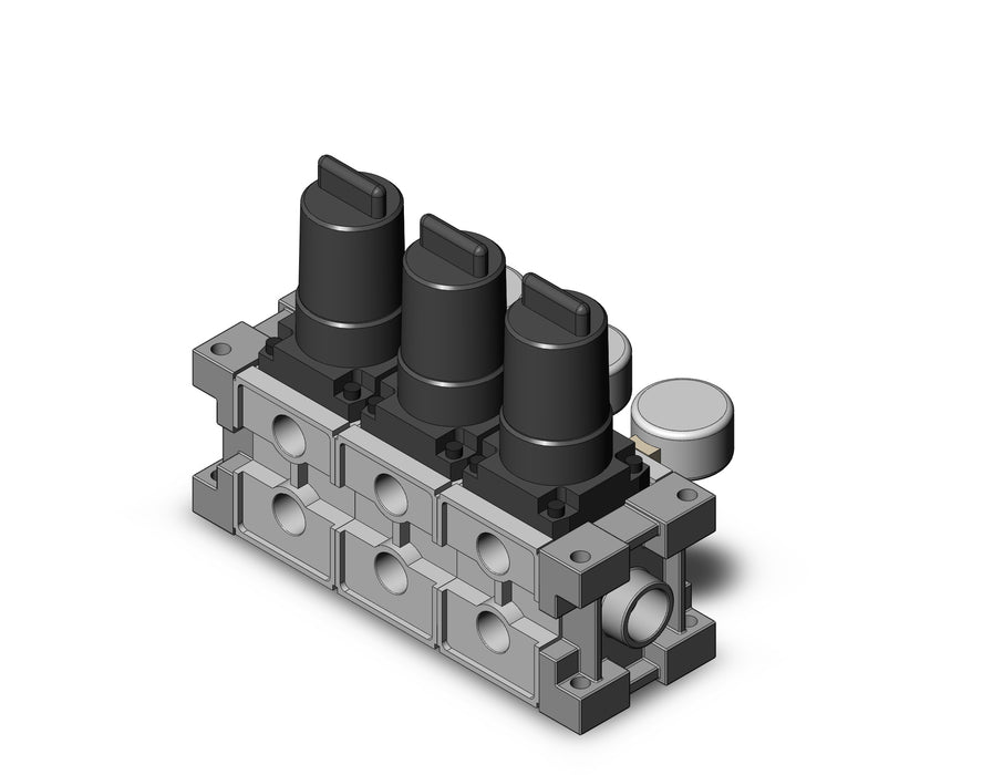 ARM2500-03A-02G2 MANIFOLD REGULATOR