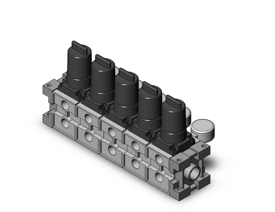ARM2500-05A-02G2 MANIFOLD REGULATOR