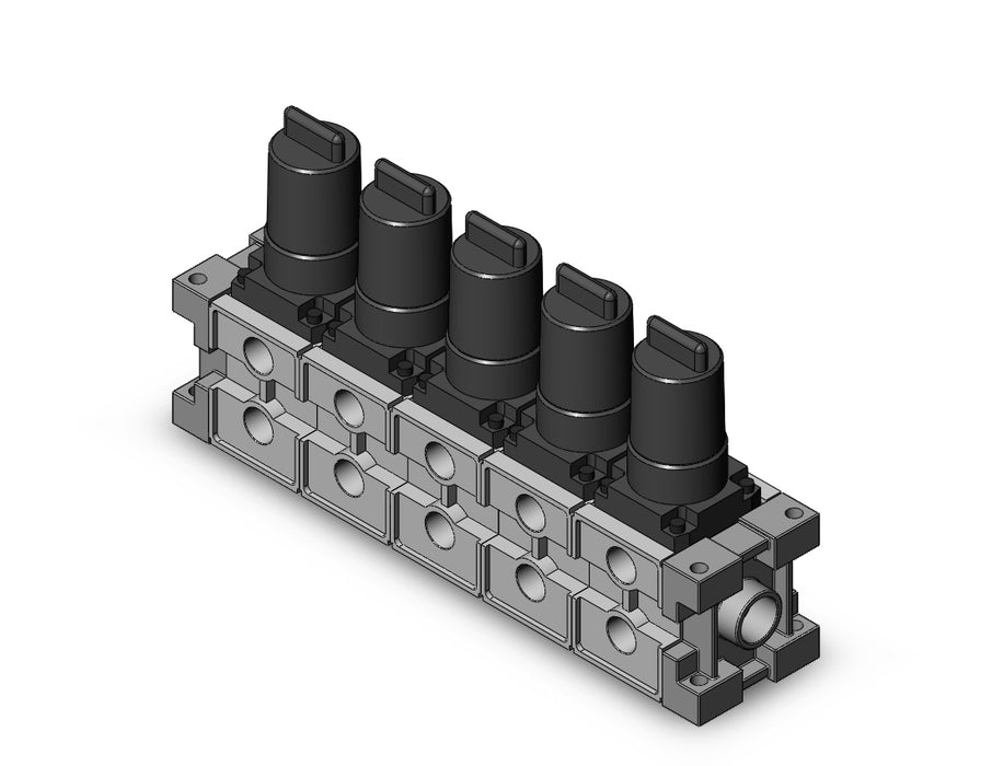 ARM2500-05A-02 MANIFOLD REGULATOR