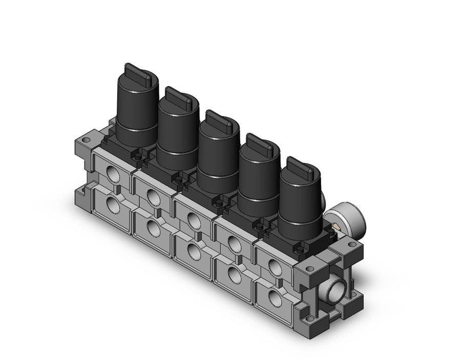 ARM2500-05B-N02G1 MANIFOLD REGULATOR
