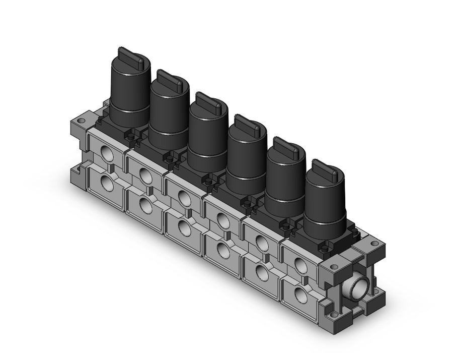 ARM2500-06A-02 MANIFOLD REGULATOR
