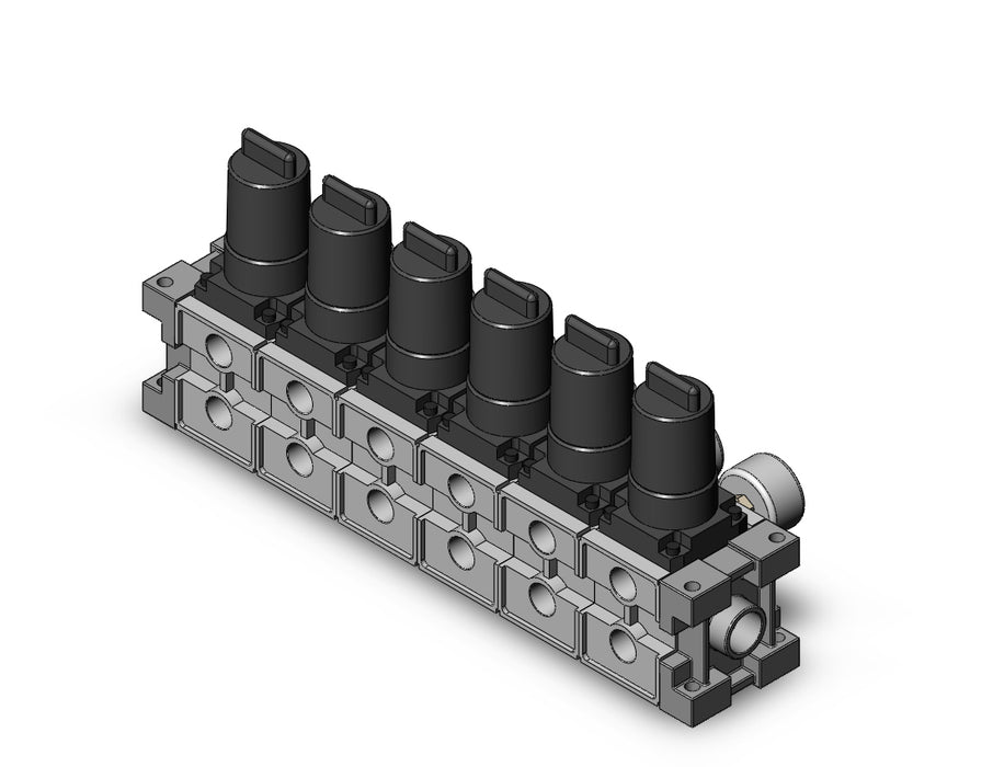 ARM2500-06B-02G1 MANIFOLD REGULATOR