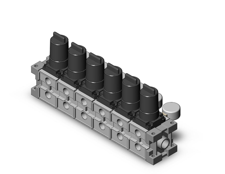 ARM2500-06B-02G2 MANIFOLD REGULATOR