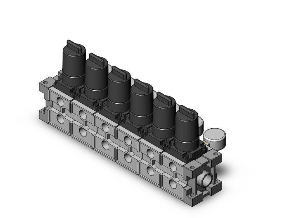 ARM2500-06B-F02G2 MANIFOLD REGULATOR