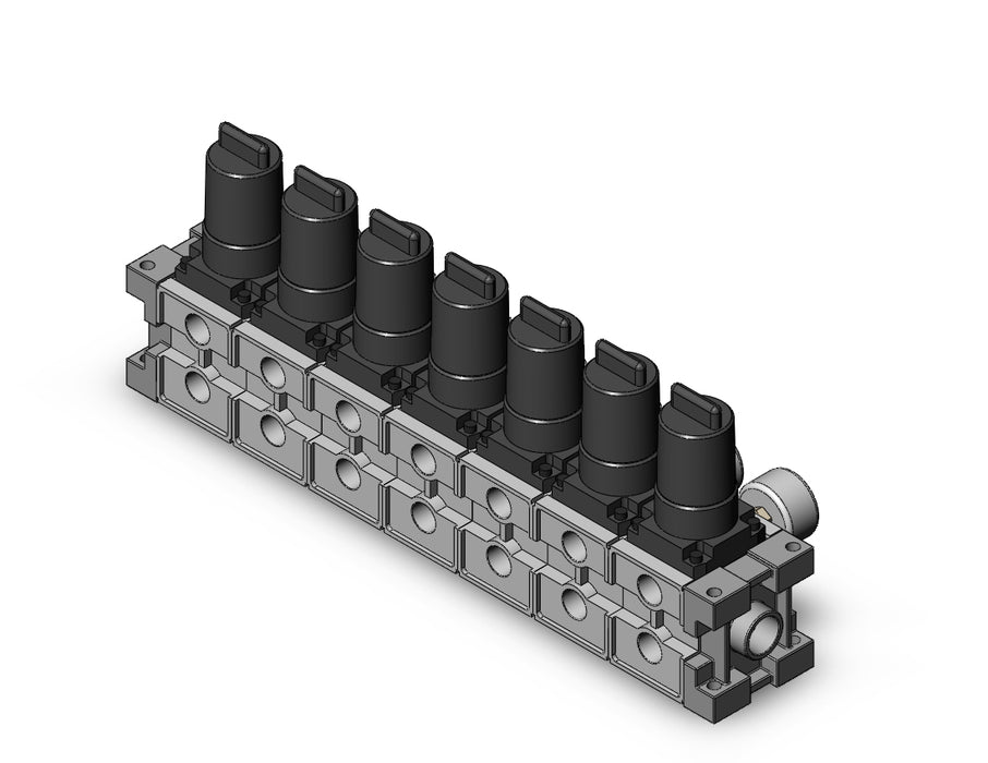 ARM2500-07A-02G1 MANIFOLD REGULATOR